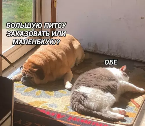 Тяжелый выбор между большой и маленькой пиццей 🍕 - БОЛЬШУЮ ПИТСУ ЗАКАЗОВАТЬ ИЛИ МАЛЕНЬКУЮ? ОБЕ