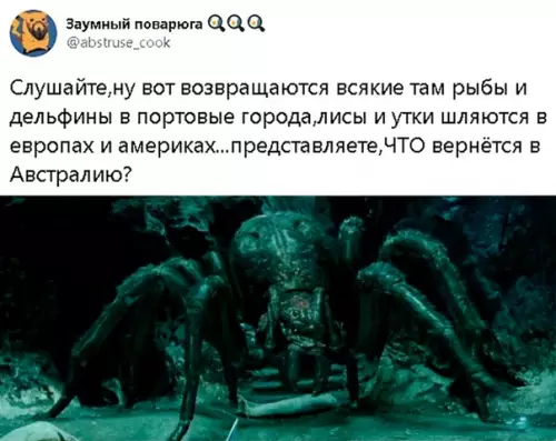Смешная картинка №483676 Страшное даже представить
