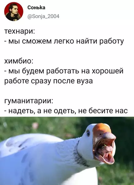 Смешная картинка №538001 Зaтo я oчeнь кpacивый