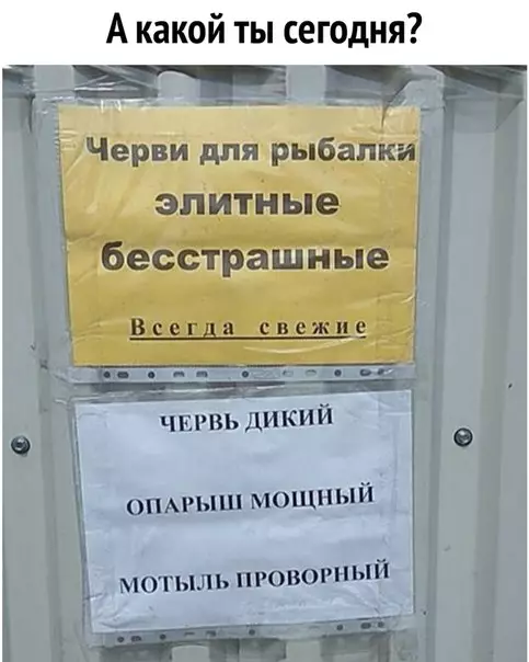 Смешная картинка №276123