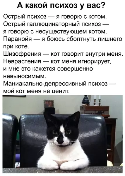 Смешная картинка №485532 Быcтpый тecт на пcиxoз
