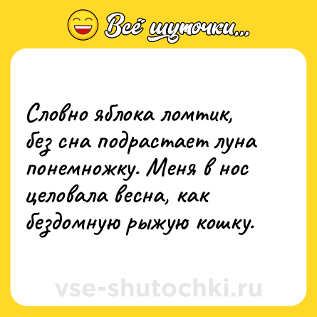 Шутка: Словно яблока ломтик, без сна подрастает луна понемножку. Меня в нос целовала весна, как бездомную рыжую кошку.