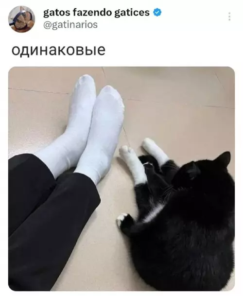 Смешная картинка №701290