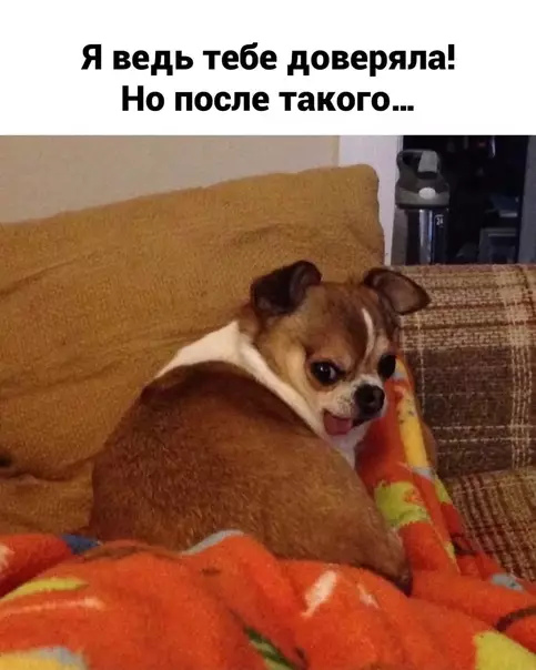 Смешная картинка №583624