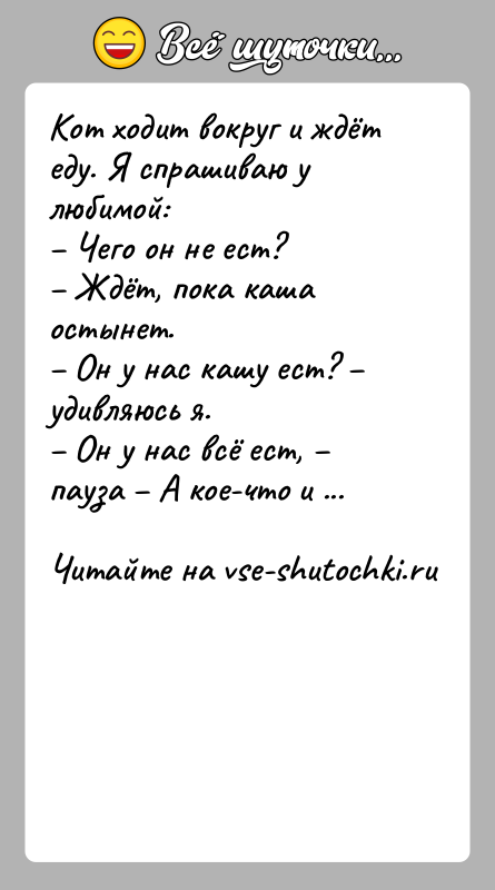 История: Кот ходит вокруг и ждёт еду. Я спрашиваю у любимой: Чего он не ест? Ждёт, пока каша остынет. Он у