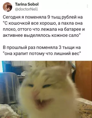 Смешная картинка №711794 Шерстяной снова нагрел кожаного