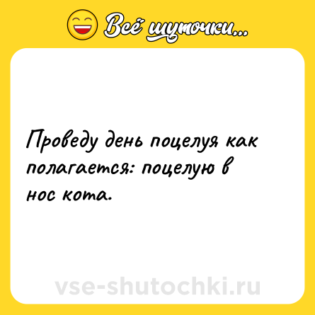 Шутка: Проведу день поцелуя как полагается: поцелую в нос кота.