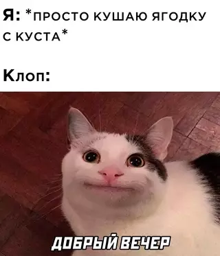 Смешная картинка №685047