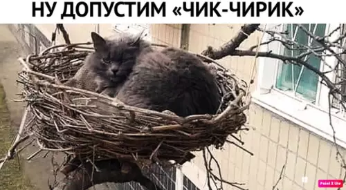 Смешная картинка №352805
