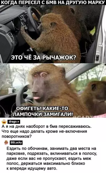 Смешная картинка №510729 И не забывать кричать другим водителям: "Машину нормальную себе купи".