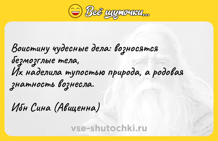 Цитата: Воистину чудесные дела: возносятся безмозглые тела,Их наделила тупостью природа, а родовая знатность вознесла.Ибн Сина (Авиценна)