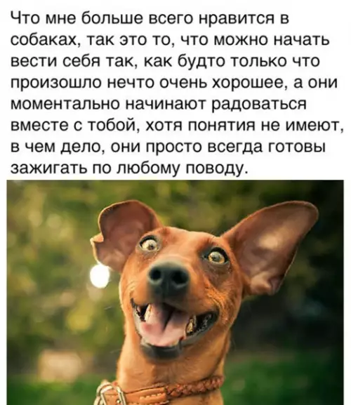 Смешная картинка №536504