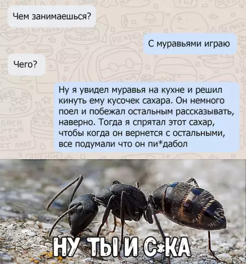 Смешная картинка №439417