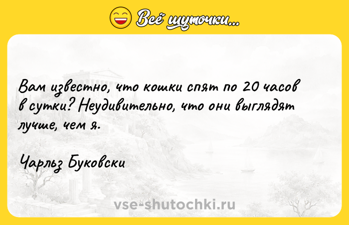 Цитата: Вам известно, что кошки спят по 20 часов в сутки? Неудивительно, что они выглядят лучше, чем я.Чарльз Буковски
