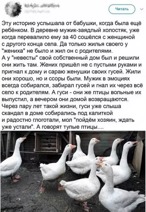 Смешная картинка №650290