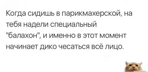 Смешная картинка №315995