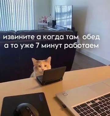 Смешная картинка №739296 Работа