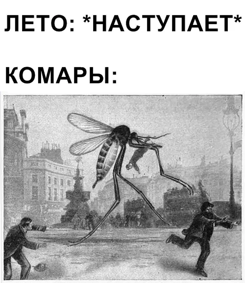 Смешная картинка №360195