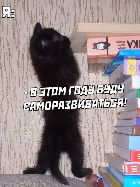 продолжение Смешная картинка №623145