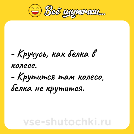 Шутка: - Кручусь, как белка в колесе. <br>- Крутится там колесо, белка не крутится.