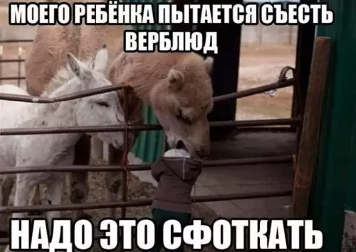 Смешная картинка №361399 #приколы #картинки #мемы ?
