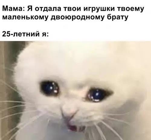 Смешная картинка №363541