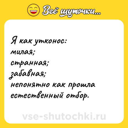 Шутка: Я как утконос:  <br>милая;  <br>странная;  <br>забавная;  <br>непонятно как прошла естественный отбор.