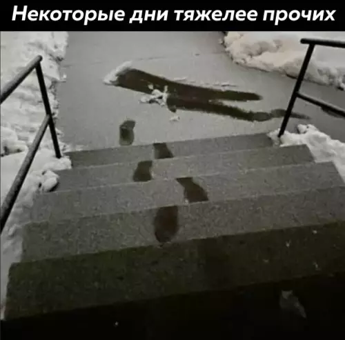 Смешная картинка №675626