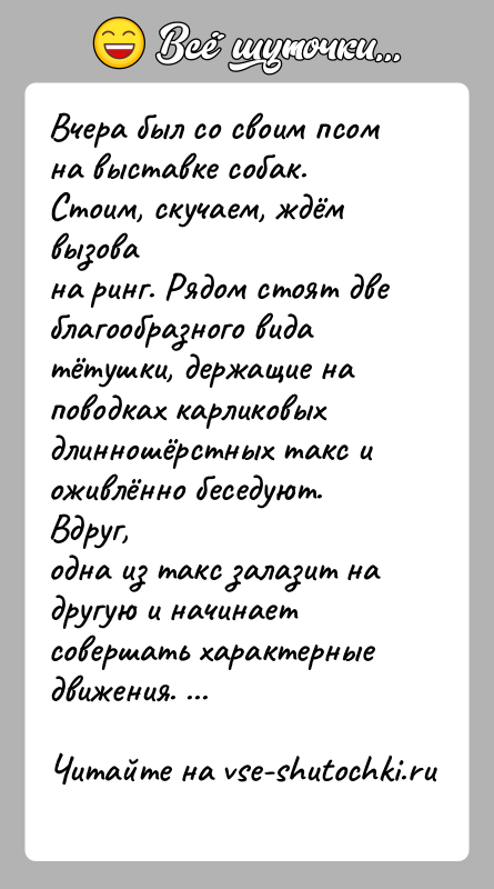 История: Вчера был со своим псом на выставке собак. Стоим, скучаем, ждём вызована ринг. Рядом стоят две благообразного вида тётушки, держащие