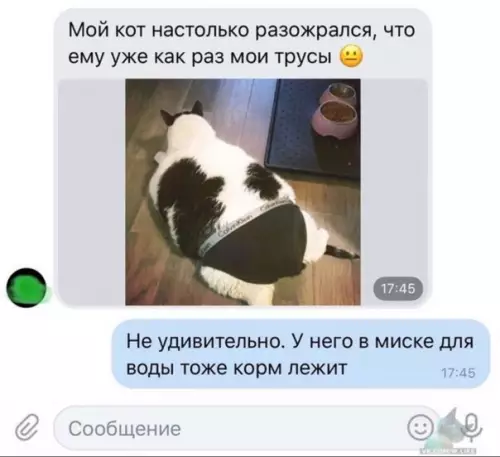 Смешная картинка №319275