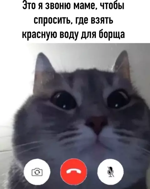 Смешная картинка №494433
