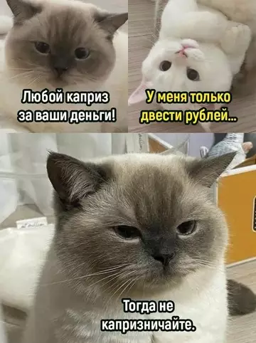Смешная картинка №746943