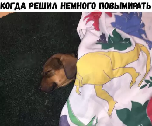 Смешная картинка №205173
