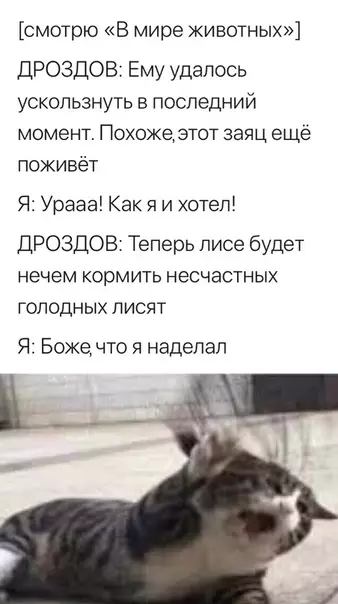 Смешная картинка №349349 животные
