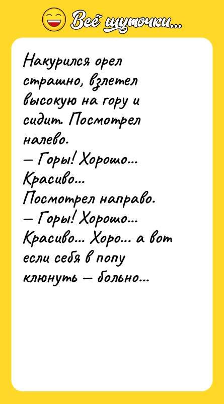 Шутка: Накурился орел страшно, взлетел высокую на гору и сидит. Посмотрел налево. Горы! Хорошо... Красиво...Посмотрел направо. Горы! Хорошо... Красиво... Хоро... а вот если себя в попу клюнуть больно...