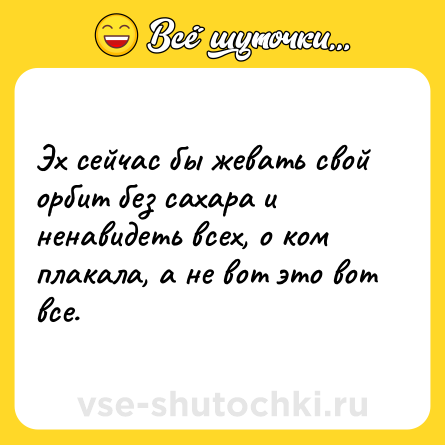 Шутка: Эх сейчас бы жевать свой орбит без сахара и ненавидеть всех, о ком плакала, а не вот это вот все.