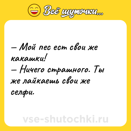 Шутка: — Мой пес ест свои же какашки!<br>— Ничего страшного. Ты же лайкаешь свои же селфи.