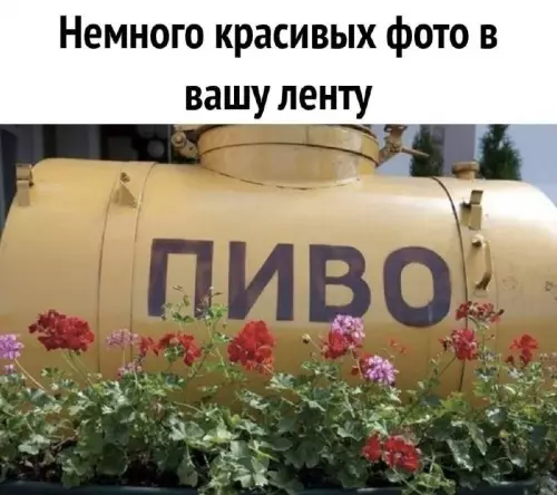 Смешная картинка №715894