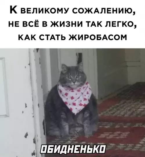 Смешная картинка №565281