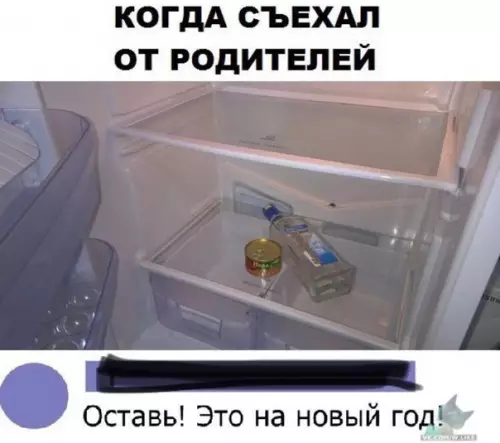Смешная картинка №316099 новый год