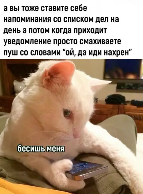 Смешная картинка №706917