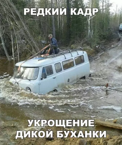 Смешная картинка №256234