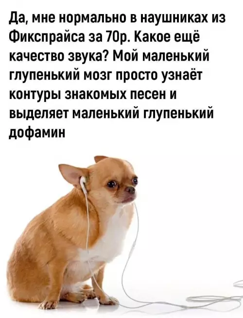 Смешная картинка №785514
