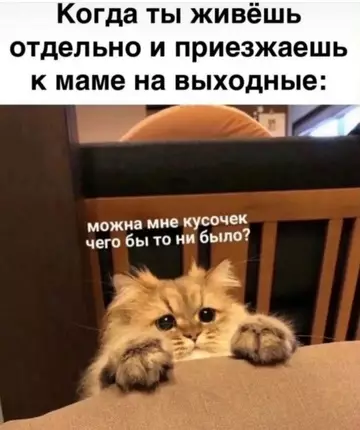 Смешная картинка №767691