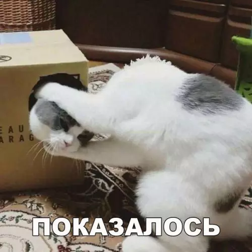 Смешная картинка №201275