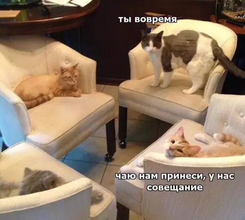 Смешная картинка №228884