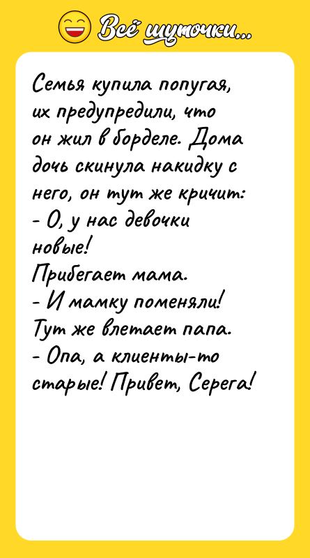 Семья купила попугая, их предупредили, что он жил в борделе.