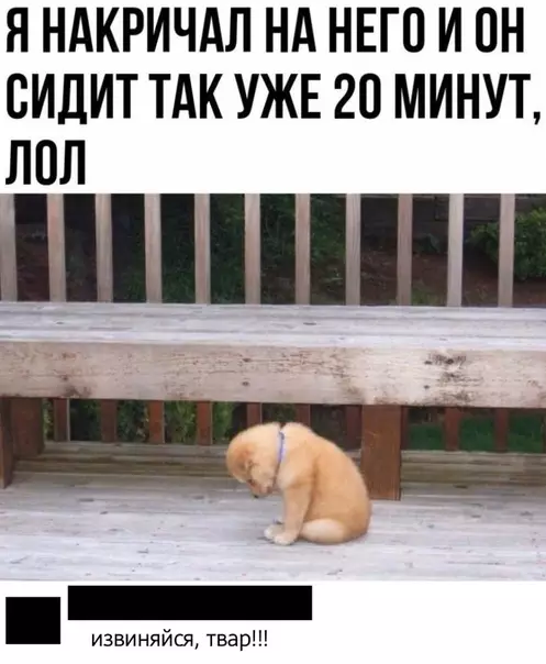 Смешная картинка №520157
