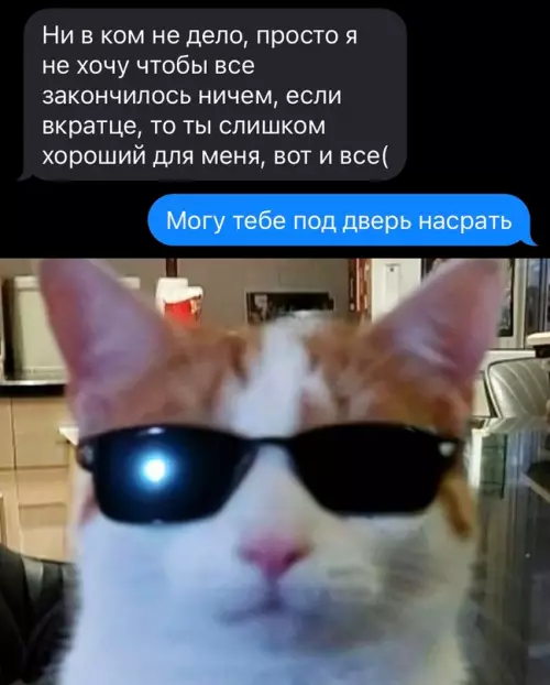 Смешная картинка №685647