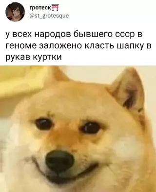 Смешная картинка №630350
